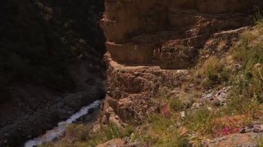 Güneşli yaz gününde, kanyonun dibindeki dağ nehri ile birlikte tortulu kayaların tepesine basarak yukarı doğru eğildi.