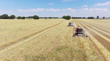 Kırgızistan 'ın Bişkek kenti yakınlarındaki yemyeşil ve yemyeşil bir tarım arazisinde faaliyet gösteren Hasat Makinelerinin hava görüntüsü - 4 Temmuz 2024