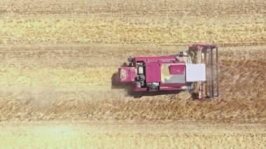 Kırmızı hasatçı tarımsal alanda çalışıyor, direkt olarak Havacılık görüşünün üstünde..