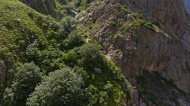 Dağlardaki dağ vadisinde küçük bir şelale güneşli yaz kırgızistan 'da hava aracı manzarası. Açık hava ve engebeli arazi. Ark kamera hareketi.