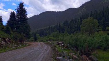 Yağmurlu yaz gününde ormandaki dağlarda toprak yol, statik kamera.