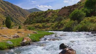 Kırgızistan 'da güneşli bir sonbahar gününde çimenler arasında kayalarla kaplı dağ nehri, gerçek zamanlı tecrit.