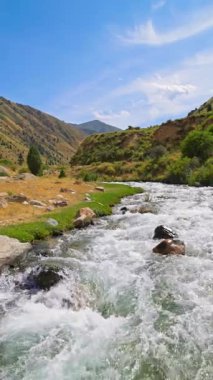 Kırgızistan 'da güneşli bir sonbahar gününde çimenler arasında kayalarla kaplı dağ nehri, yavaş çekim karesi