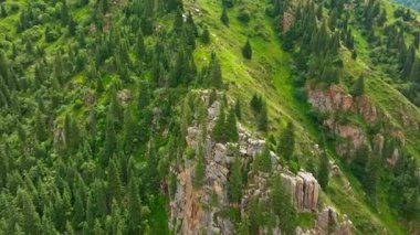 Kırgızistan 'da bir yaz gününde çam ormanlarıyla kaplı kayalık bir dağ kayalığı, hava manzarası yörüngesindedir.