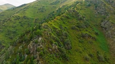 Kırgızistan 'da yaz günü dik yeşil dağ uçurumuna yaklaşan drone görüntüsü