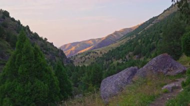 Bir dağ vadisinin el kameralı çekimi, yavaş sol hareket, parallax etkisi, kayalık arazi, yeşil tepeler, dağınık ağaçlar, yumuşak akşam ışığı.