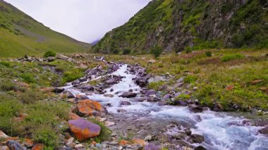 Çimenli yamaçlar ve bulutlu bir gökyüzünün altındaki kayalık kayalıklarla çevrili yemyeşil bir vadide, pürüzsüz kayaların üzerinden akan berrak bir dağ deresinin el kameralı görüntüsü..