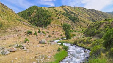 Kırgızistan 'da güneşli bir sonbahar gününde çimenler arasında kayalarla kaplı dağ nehri, kilit altında.