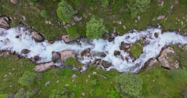 Yeşil bir ormanı kesen bir nehrin dikey olarak yükselen bir dron tarafından filme alındığı gerçek zamanlı hava görüntüleri. Kayalık kenarlar canlı, dokunulmamış araziyi çerçeveler..