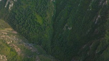 Yoğun yeşil bir vadinin, kayalık kayalıklardan ve sık ormanlardan akan dar bir derenin havadan bakış açısı. Kamera aşağı ve hafifçe ileri hareket eder, doğal manzarayı yakalar..
