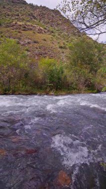 Yeşil çalılar ve bulutlu bir gökyüzünün altında kayalık bir yamaçla çevrili kayaların üzerinden akan temiz suyla birlikte bir dağ nehrinin yavaş çekim görüntüleri..