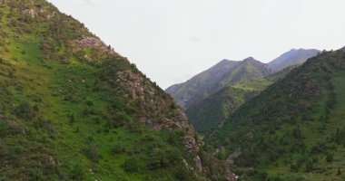 İnsansız hava aracı görüntüsü Kırgızistan 'daki dağ geçidinde ilerliyor, yaz günü yeşil yamaçlı bir dağ vadisini ele geçiriyor..