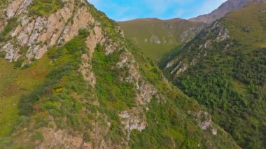 İnsansız hava aracı görüntüleri Kırgızistan 'da kayalık kayalıklar, yemyeşil yamaçlar ve açık mavi gökyüzünün altındaki uzak tepeleri gösteren çarpıcı bir dağ vadisini yakalıyor. İnsansız hava aracı sağa hareket ediyor, dramatik manzarayı ortaya çıkarıyor..