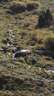 Kırgızistan dağlarındaki kayalık bir yamaçtan aşağı doğru dar bir dere esiyor. Su taşların üzerinden ve çimenlerin arasından akar ve arka planda küçük yeşil ağaçlar görünür. Statik bir el kamerasından telefoto lensi ile çekilmiş.