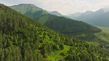 Kırgızistan 'daki dağlık yamaçlarda yeşil çam ormanı, insansız hava aracı manzarası. Chunkurchak Boğazı. Kamera hareketini arttır.
