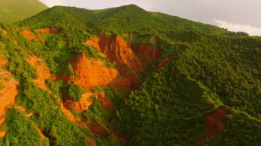 Canlı yeşilliğin insansız hava aracı görüntüsü aşınmış kırmızı kil kayalıklarla keskin bir tezat oluşturuyor.