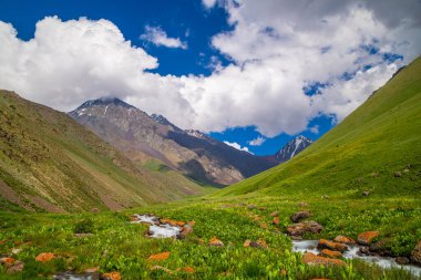Majestic mountain valley features a tranquil stream flowing over rocks in Kyrgyzstan