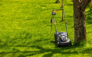 wired black plastic electrical Lawnmower sitting idle near tree trunk in sunny garden during daytime