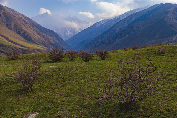 Serene mountainous valley features lush shrubs and vibrant plants under clear blue sky. Peaceful natural environment invites relaxation.