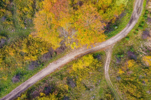 Δρόμος Στο Φθινόπωρο Δάσος Εναέρια Θέα Χρώματα Φθινοπώρου — Φωτογραφία Αρχείου