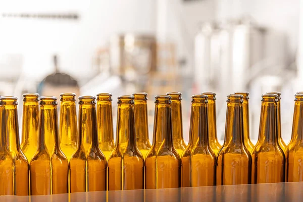 Rows of glass bottles prepared to beer filling and bottling on microbrewery.