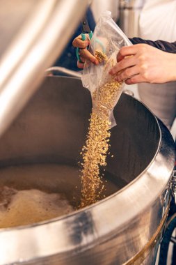 Brewer working in small brewery, pouring malted grain into fermenter to produce beer clipart