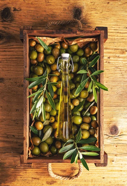 Olive Fresche Mature Scatola Pronte Estrazione Olio Oliva Biologico Spremuto — Foto Stock