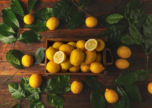 레몬에 나뭇잎 위에서 — 스톡 사진