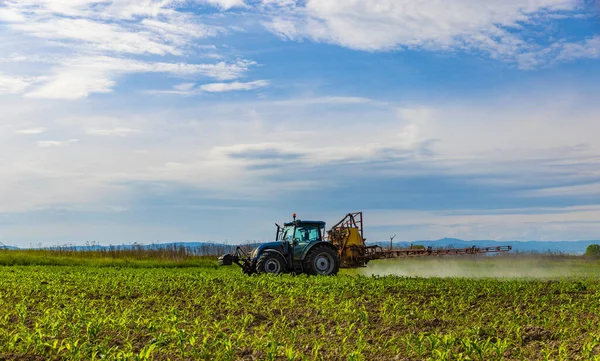 Трактор Распыляет Кукурузу Весной Поле — стоковое фото