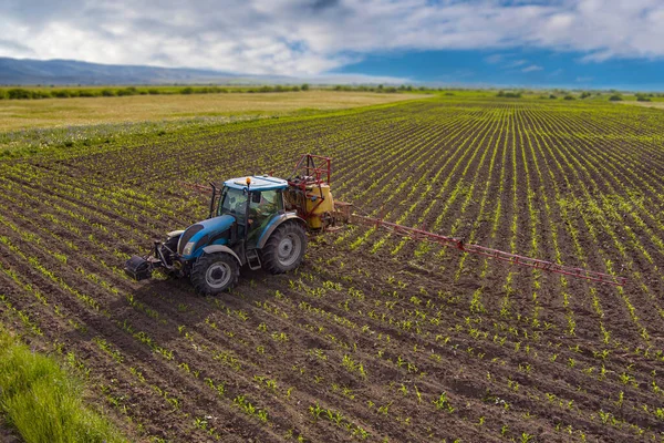 Drone Strzał Ciągnika Rolniczego Opryskiwania Polu Kukurydzy — Zdjęcie stockowe