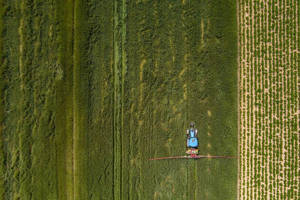 Scenic Top View Tractor Spraying Oat Fields — Stock Photo, Image