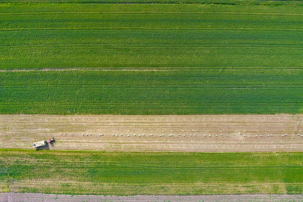 Vista Aerea Del Trattore Sul Campo Raccolta Colpo Drone — Foto Stock