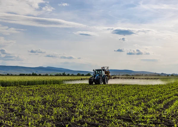 Трактор Розпилення Пестицидів Інсектицидів Кукурудзяному Полі — стокове фото
