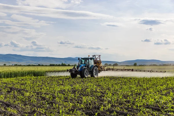 Traktor Sprüht Dünger Auf Maisfeld Landwirtschaftskonzept — Stockfoto