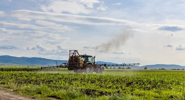 Trator Pulverização Pesticidas Campo Milho Com Pulverizador Primavera — Fotografia de Stock
