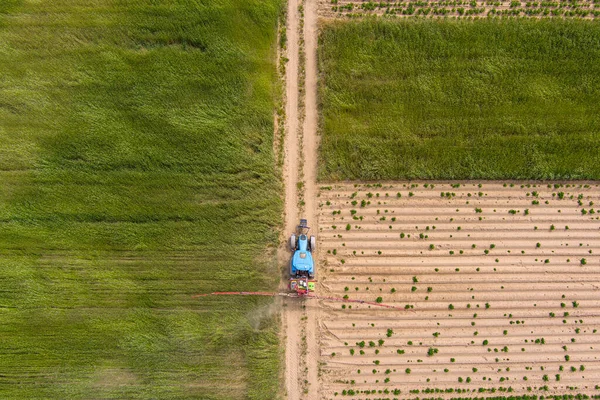 フィールドで春に土壌や若い作物を散布トラクターの撮 — ストック写真