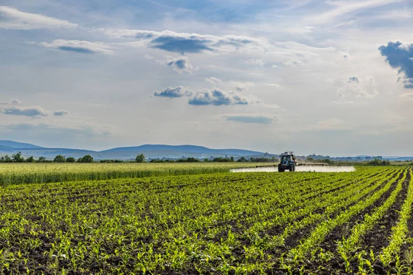 春にはトウモロコシ畑に散布するトラクター ロイヤリティフリーのストック画像