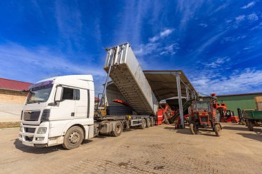 Kamyon, nişasta fabrikasına patates boşaltıyor.