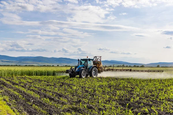Ciągnik Nawozi Kukurydzę Wiosnę Koncepcja Rolnictwa — Zdjęcie stockowe