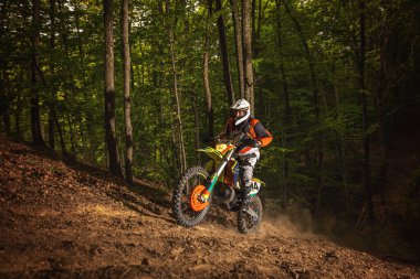 Ormanda motosiklet yarışçısı. Ekstrem spor konsepti