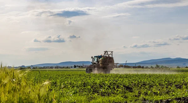 玉米田拖拉机喷洒杀虫剂和杀虫剂 — 图库照片