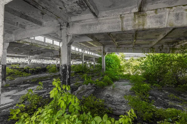 Interior Abandonado Del Edificio Industrial Antiguo Edificio Abandonado Ruinas — Foto de Stock