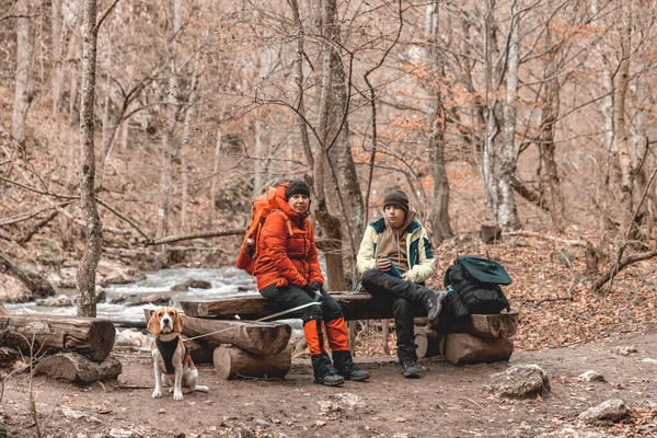 Madre Suo Figlio Con Cane Beagle Stanno Riposando Durante Escursioni — Foto Stock