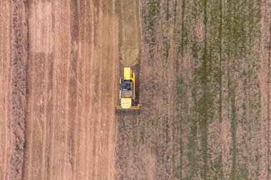 Modern sarı, yazın buğday hasadını birleştirir. Tarım hava görüntüsü