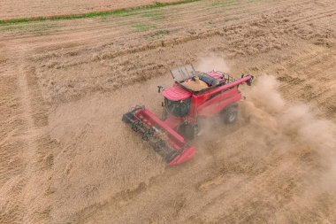 Hava aracı görüntüsü, buğday tarlasında çalışan hasatçıları birleştirin 