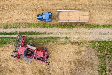 Modern kırmızı yazın buğday hasadını birleştirir. Tarım hava görüntüsü