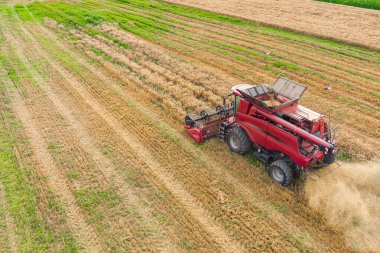 Buğday tarlasını hasat etmek için biçme makinesi. Tarım hava görüntüsü