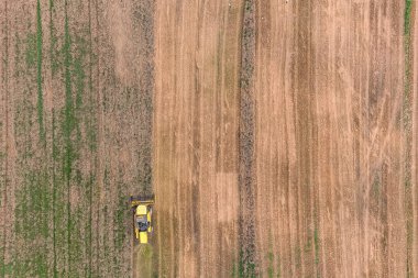 Tarlalarda ekin biçen makineler. Tarım teması, hasat mevsimi. Tarım hava görüntüsü