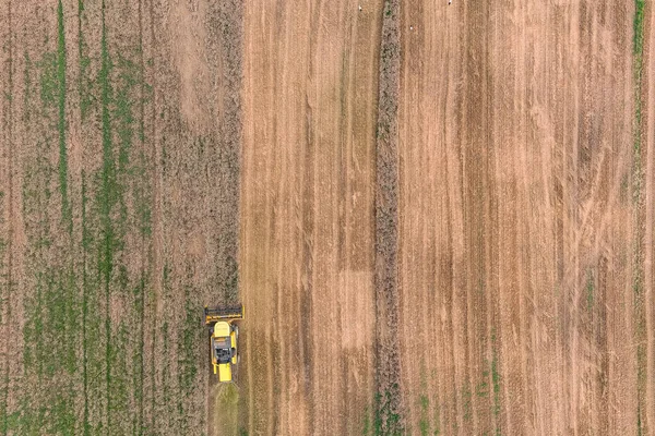 Erntemaschinen Schneiden Getreide Auf Landwirtschaftlichen Flächen Thema Landwirtschaft Erntezeit Landwirtschaft — Stockfoto