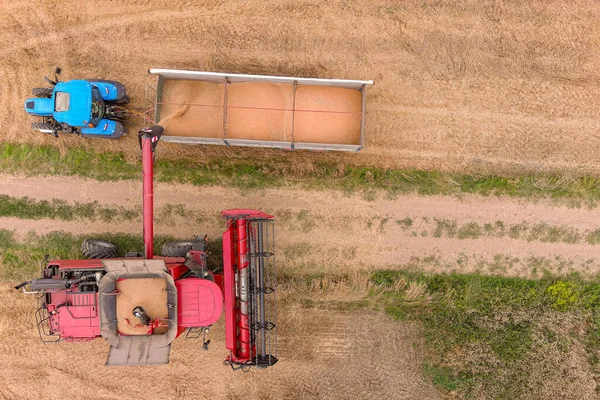 Combine Harvester Tractor Working Wheat Field Agriculture Aerial View — Stock Photo, Image